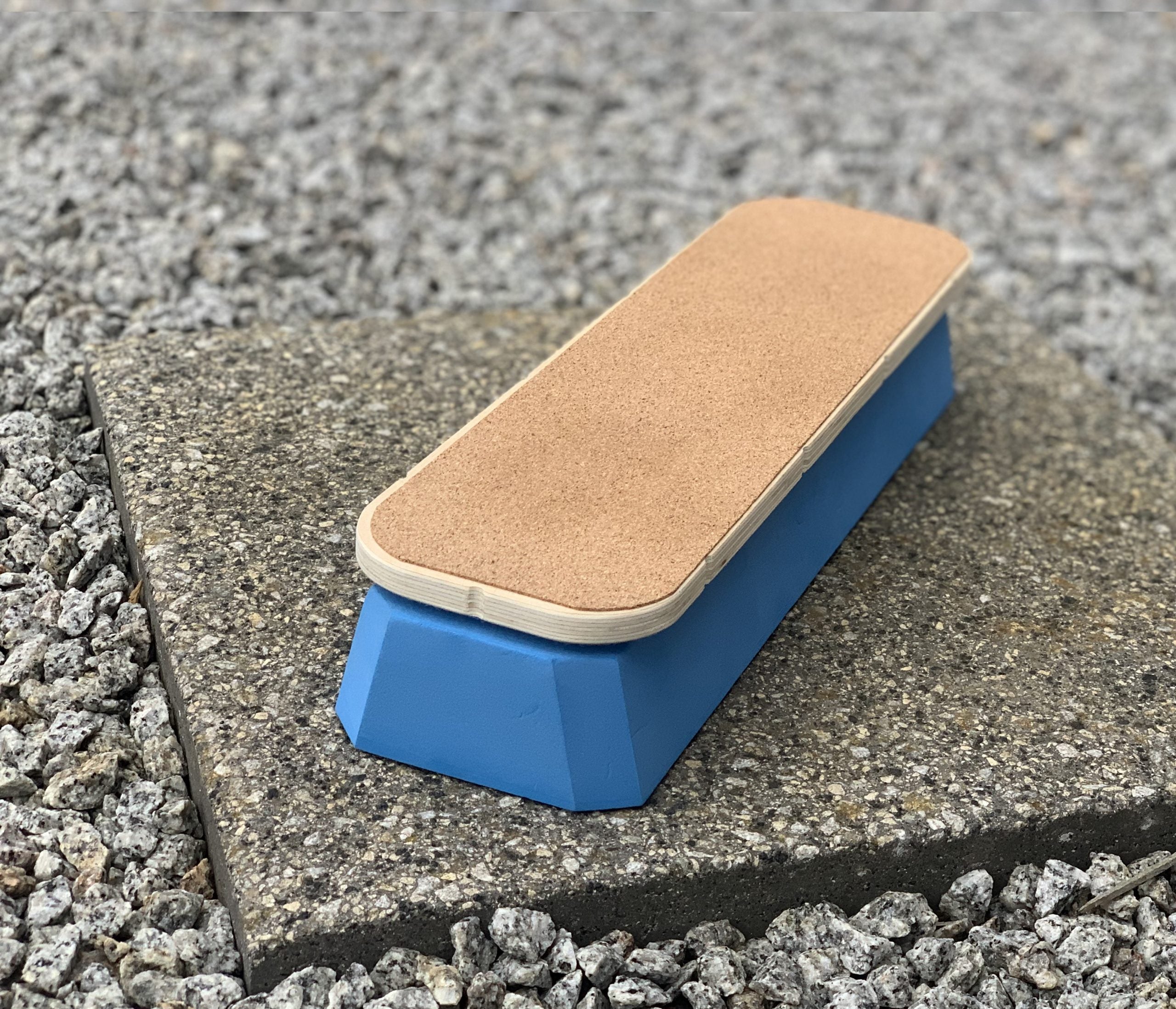 SteadySole Foot Balance Board PRO