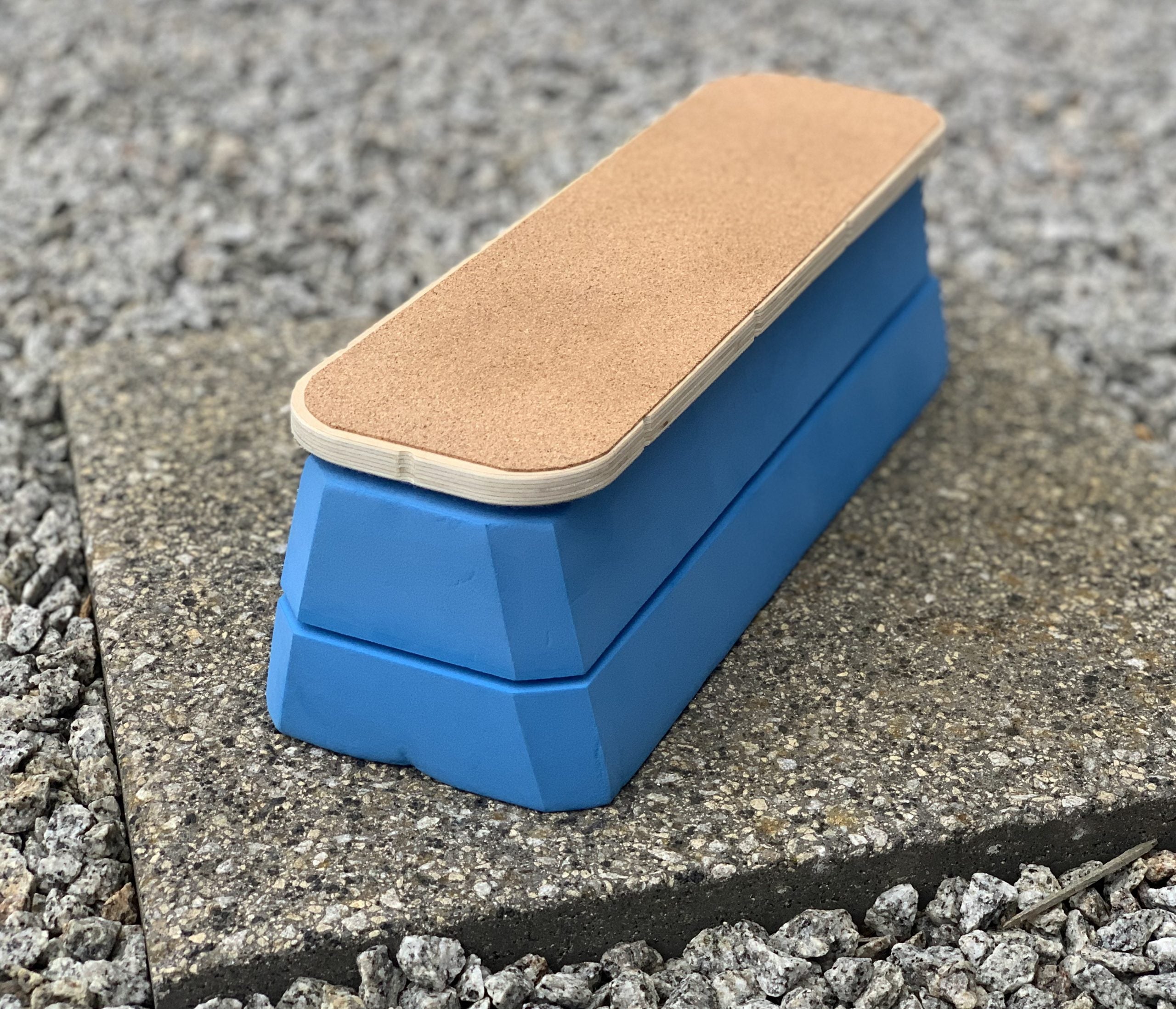 SteadySole Foot Balance Board PRO