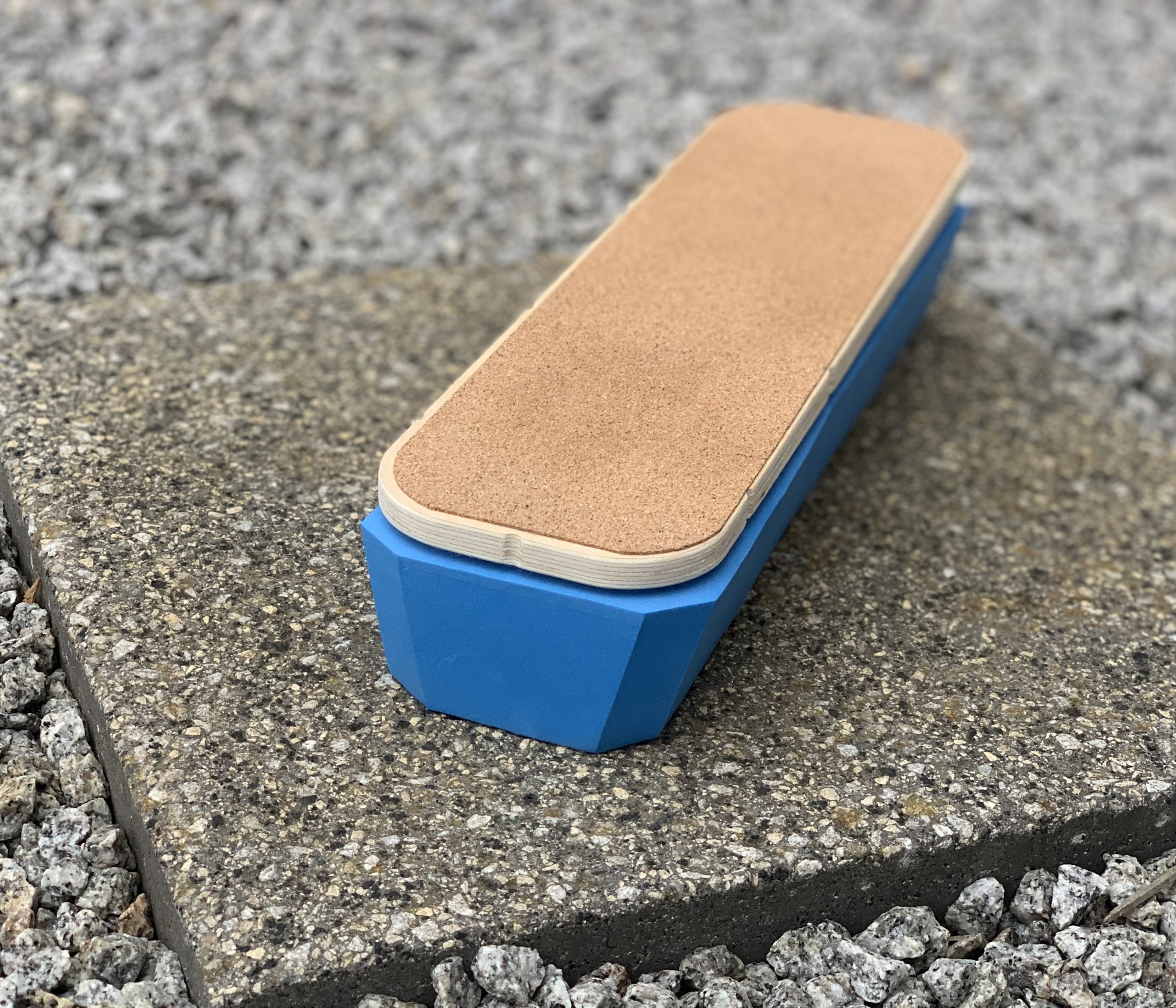 SteadySole Foot Balance Board PRO